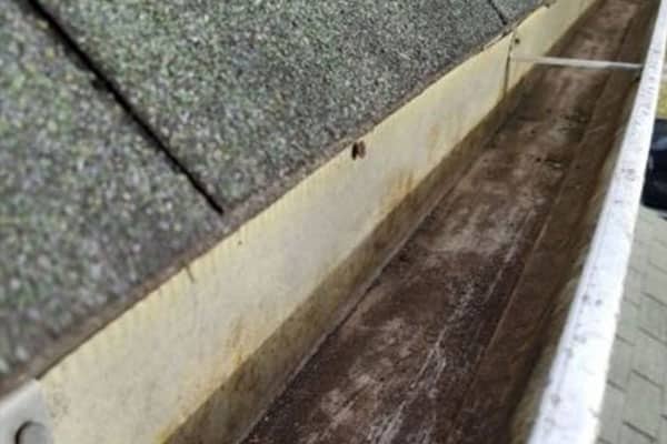 Gutter Cleaning and Maintenance 